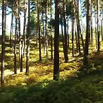 De Valsain * La Pradera de Navalhorno