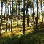 De Valsain La Pradera de Navalhorno